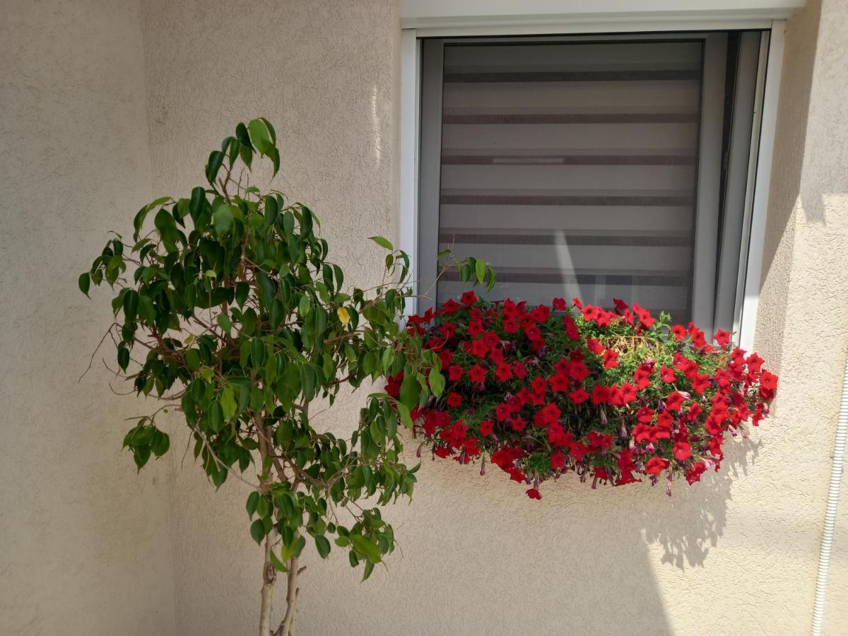 Leda Apartmani Smederevo Exteriör bild