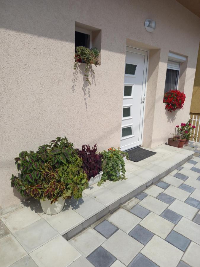 Leda Apartmani Smederevo Exteriör bild