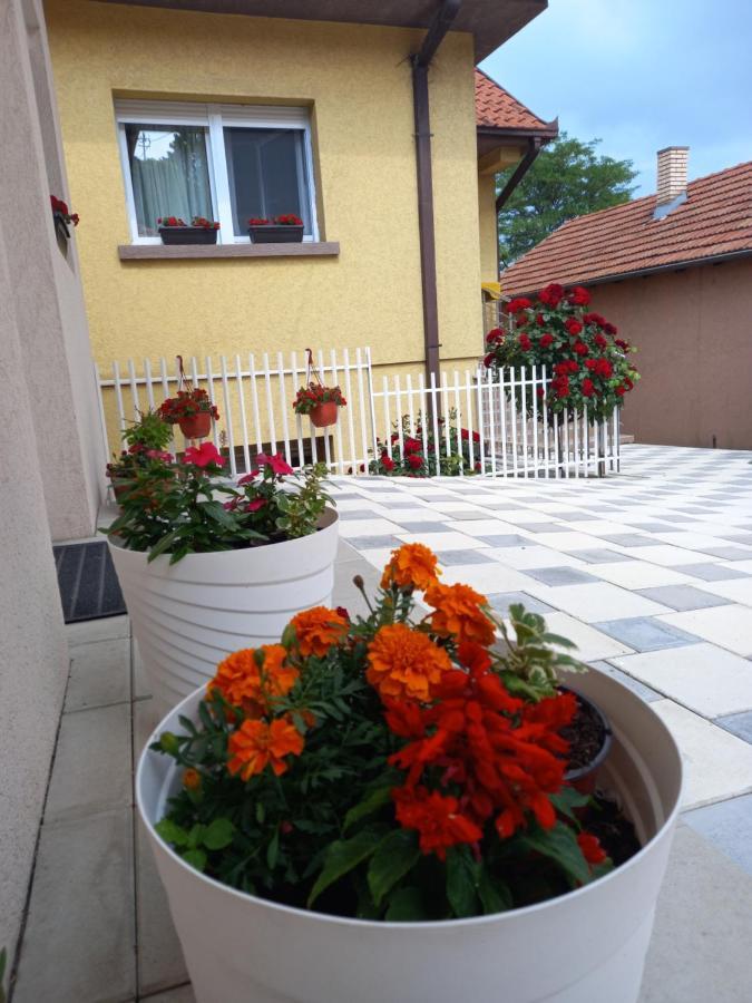 Leda Apartmani Smederevo Exteriör bild