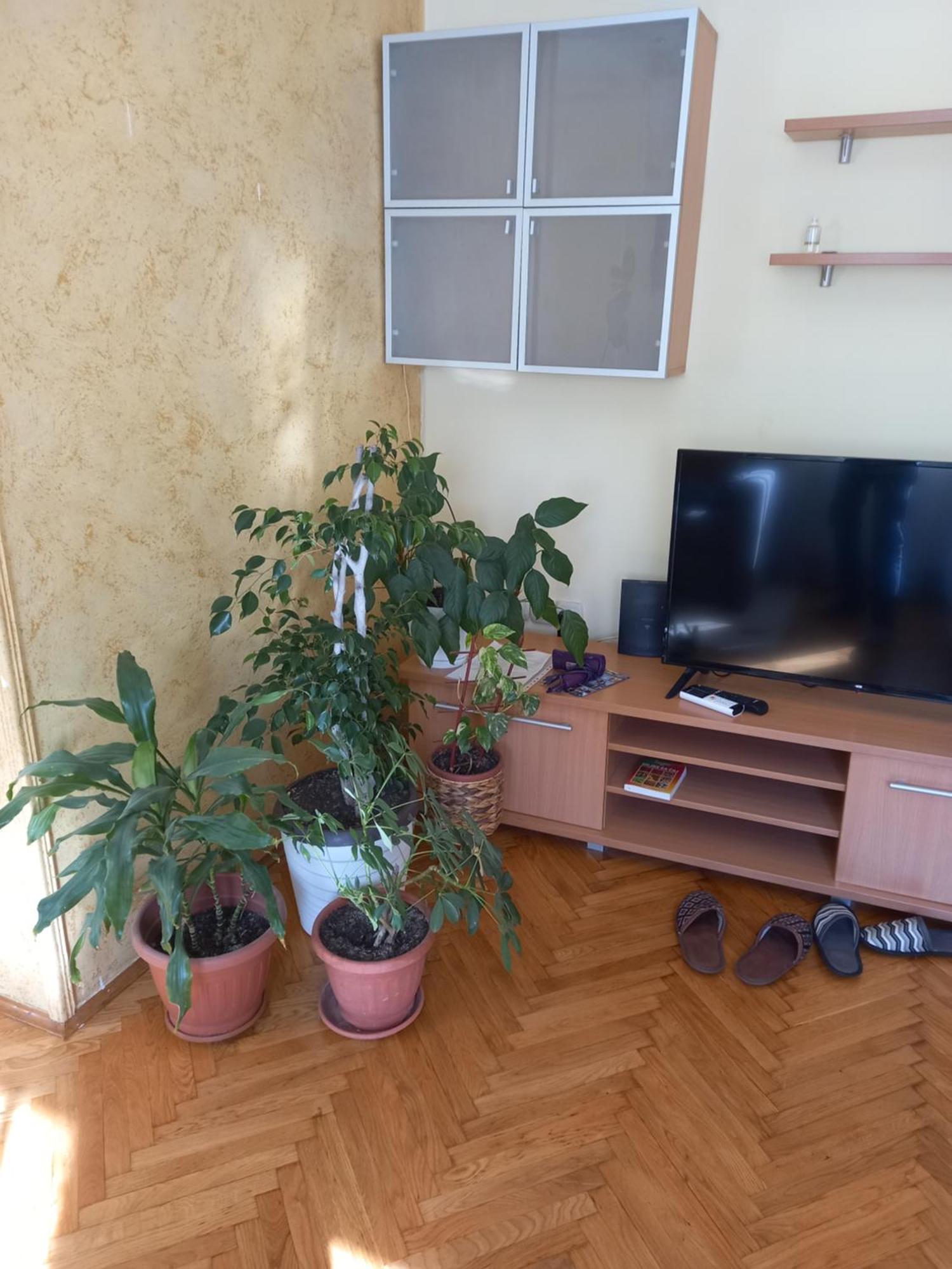 Leda Apartmani Smederevo Exteriör bild