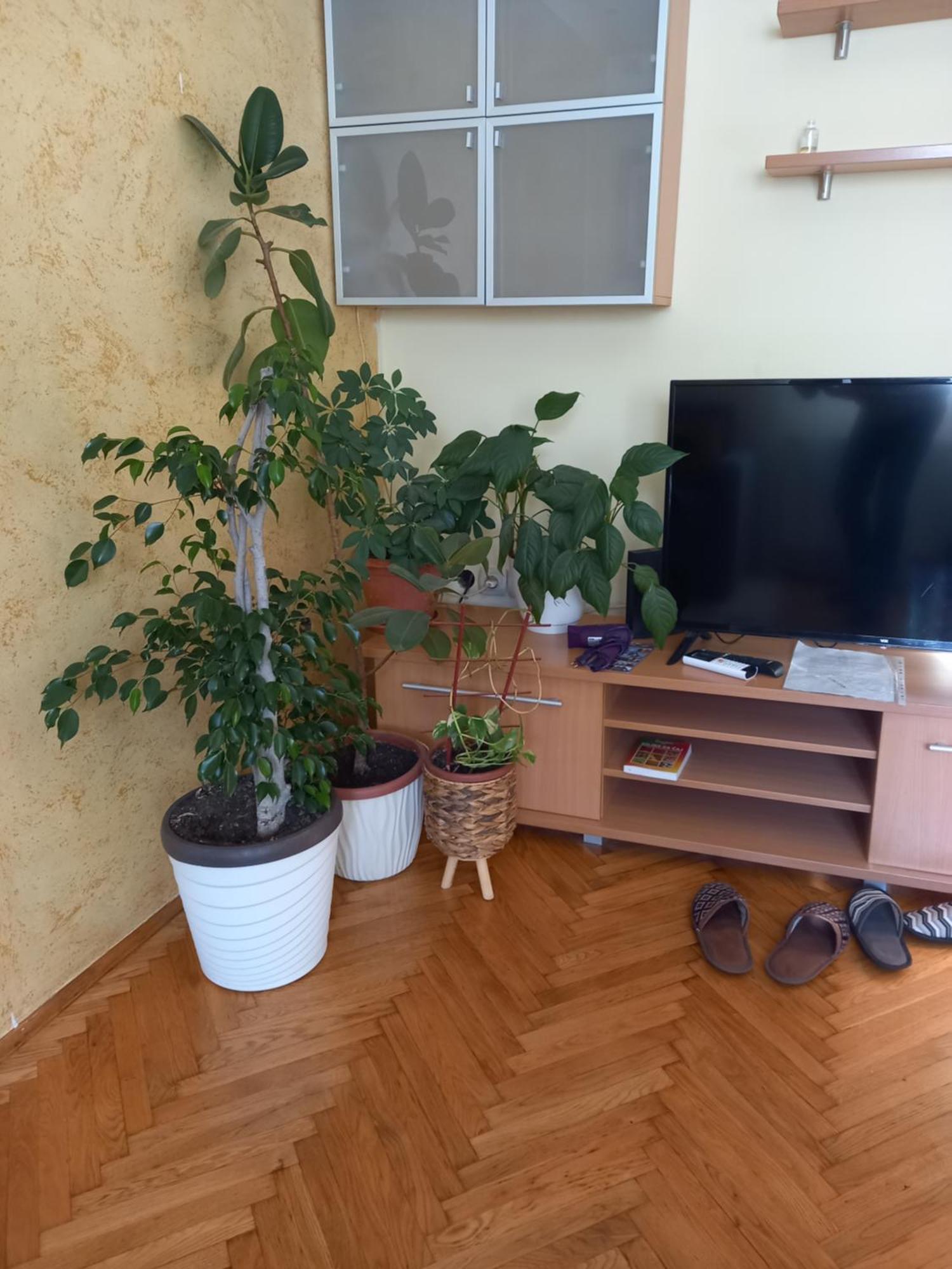 Leda Apartmani Smederevo Rum bild