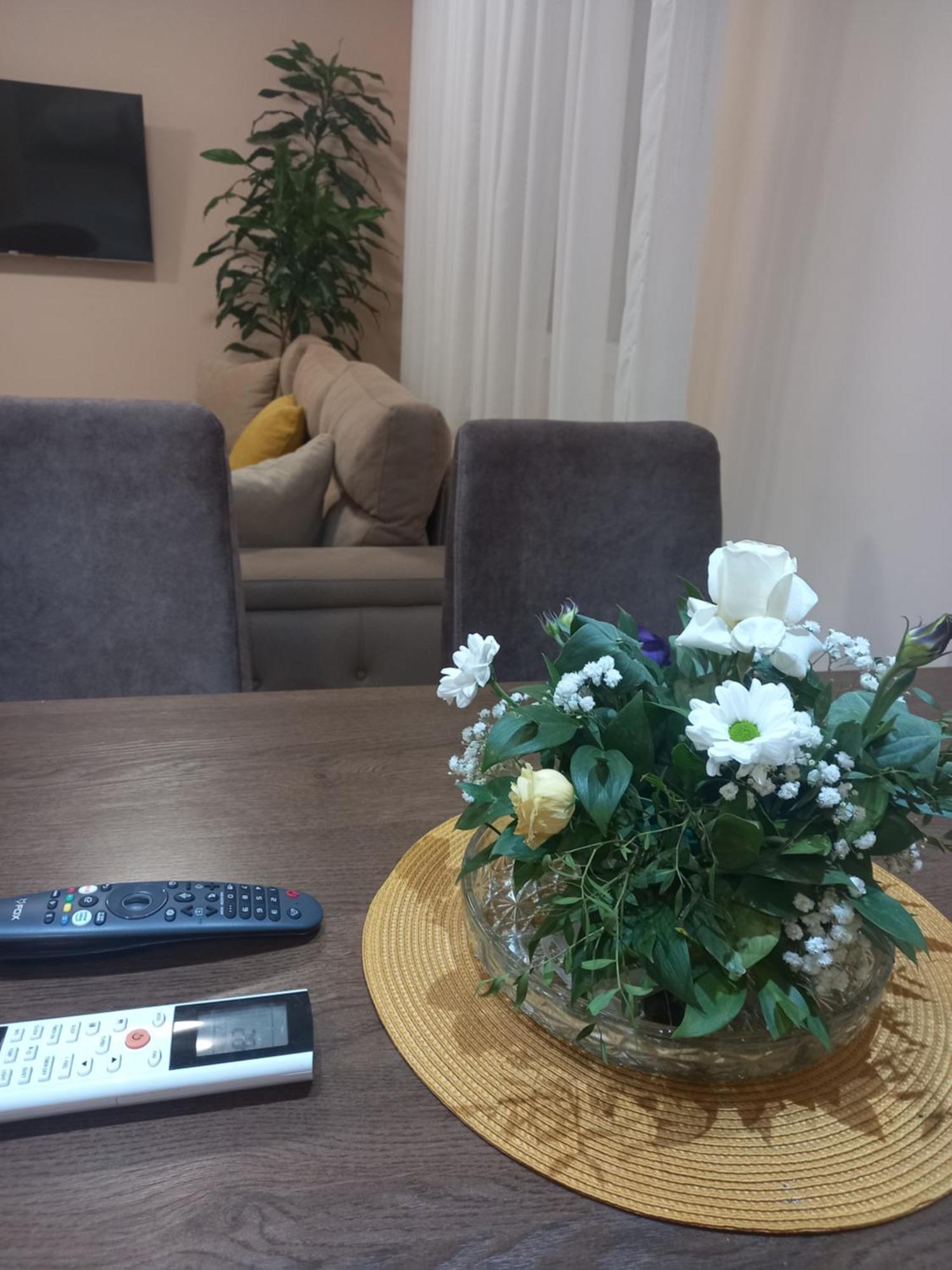 Leda Apartmani Smederevo Rum bild